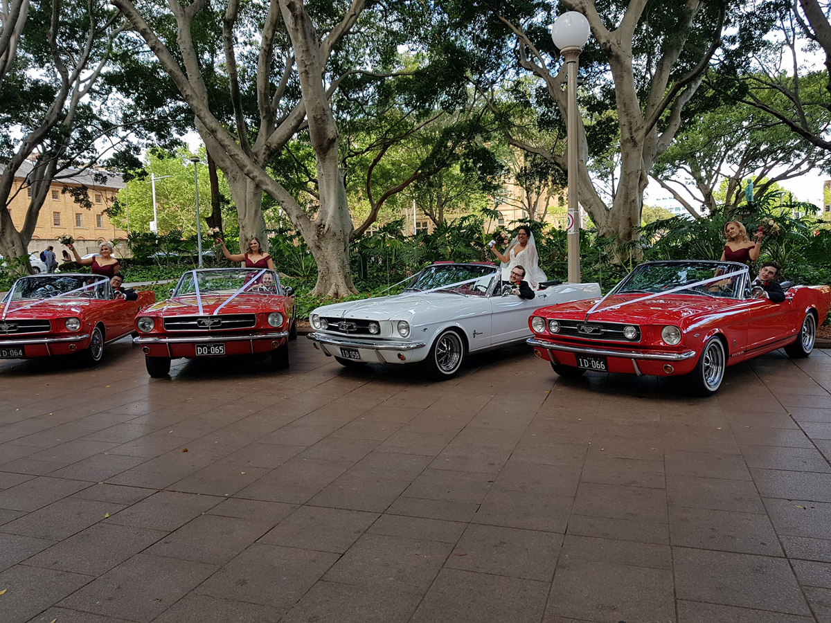 Sydney Mustangs Wedding Cars